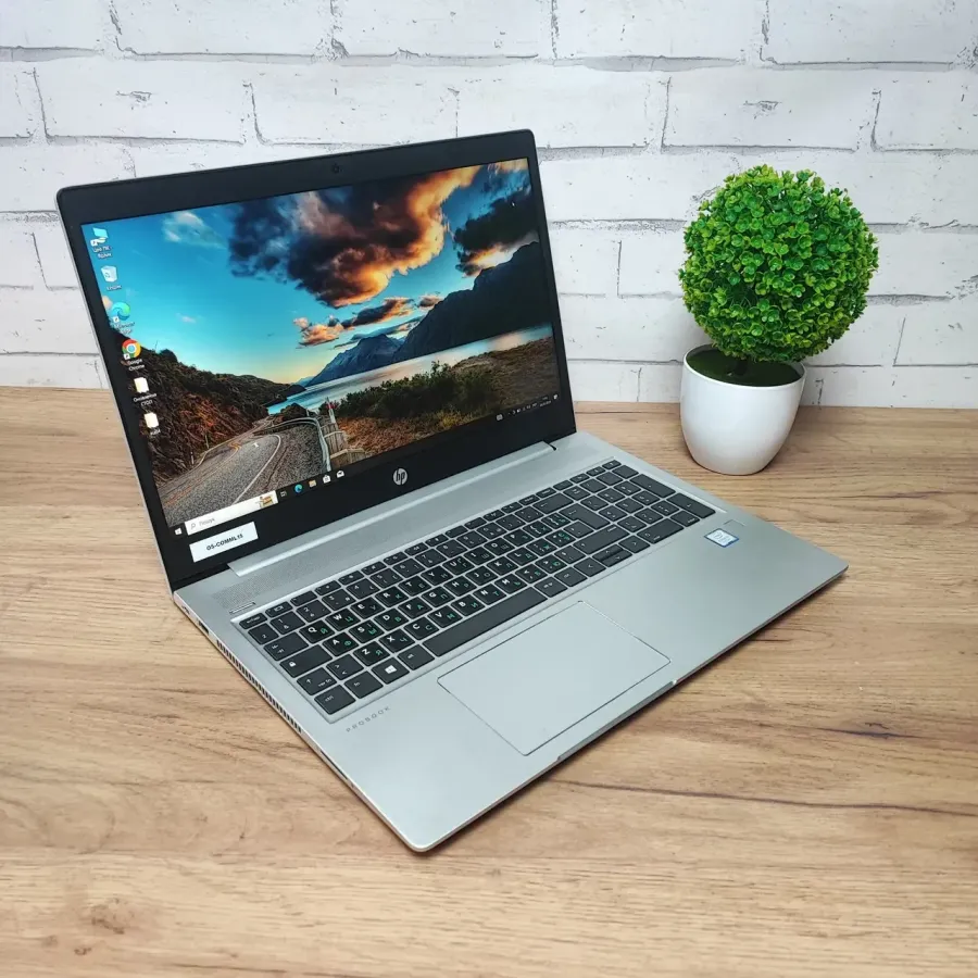 Ноутбук Б/В HP ProBook 450 G6, Intel Core i5-8265U, DDR4 8 GB, SSD 128GB + HDD 500GB, 15.6" Full HD