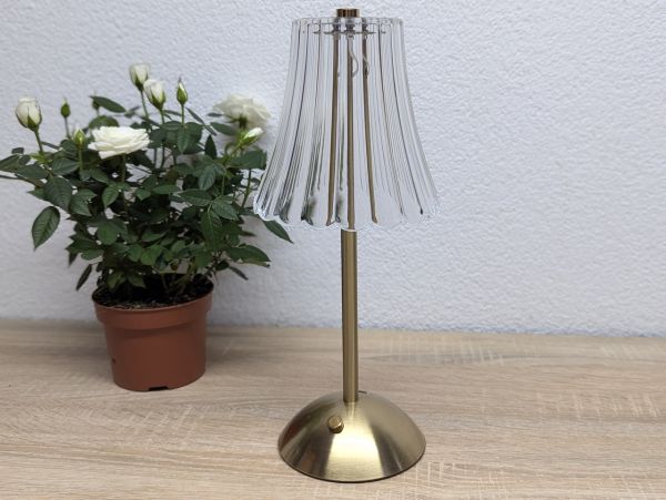 Новий Настільна LED лампа Rose Diamond Table Lamp